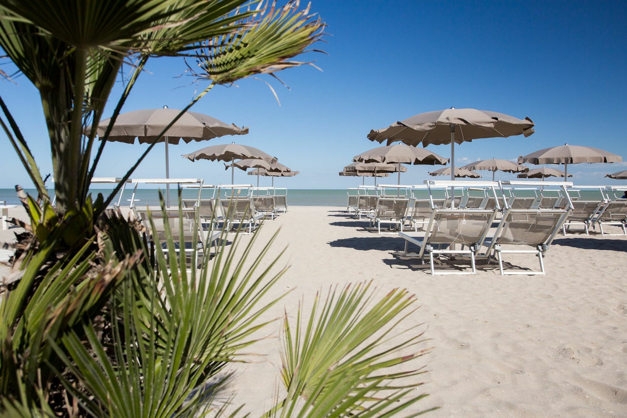 Hotel Solemare 3*